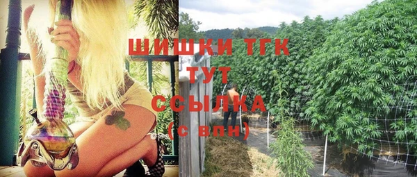 стаф Киреевск