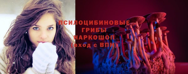ECSTASY Козельск
